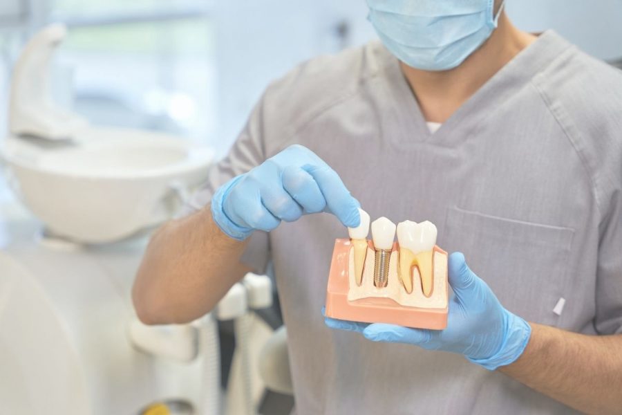 A-Second-Set-of-Teeth,-A-New-Life A-Second-Set-of-Teeth,-A-New-Life